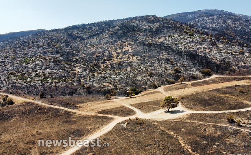 Αεροφωτογραφίες Μενίδί Πλησίον Στρατοπέδου Καποτά Αεροφωτογραφίες Μενίδί Πλησίον Στρατοπέδου Καποτά
