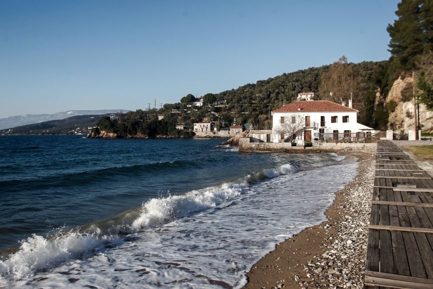 Η Σαμπίν Μίλερ και το έγκλημα της «σιωπής» στη Μηλίνα Πηλίου – «Τη βρήκα νεκρή με το βάζο της μαρμελάδας στα χέρια»
