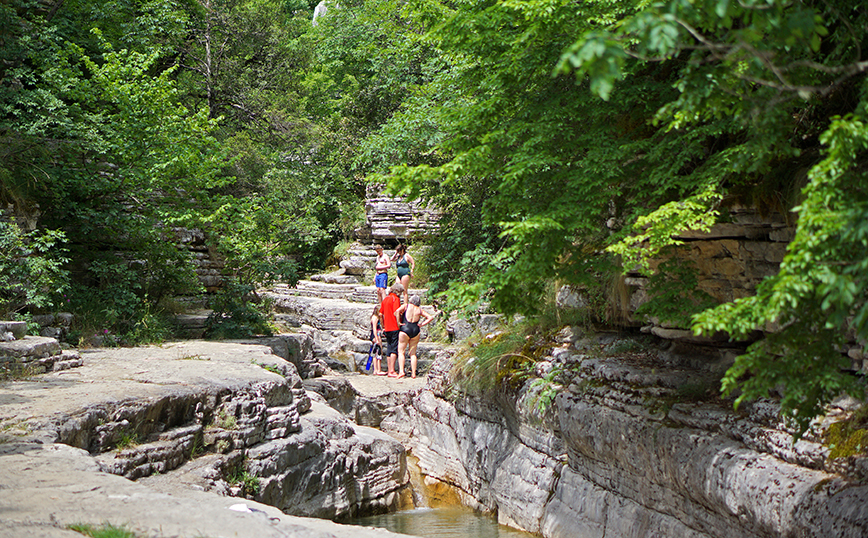 Κολυμπήθρες, Πάπιγκο Κολυμπήθρες, Πάπιγκο