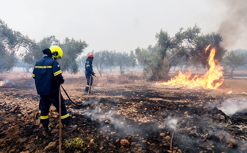 Καλύτερη η κατάσταση στη φωτιά στην Εύβοια &#8211; Ο κίνδυνος είναι οι αναζωπυρώσεις