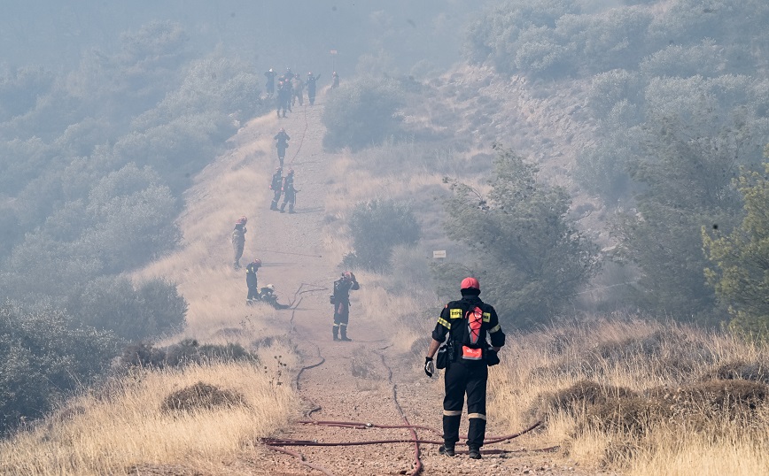 Συναγερμός στη Χασιά: Eθελοντές εντόπισαν κρανίο στην καμένη περιοχή