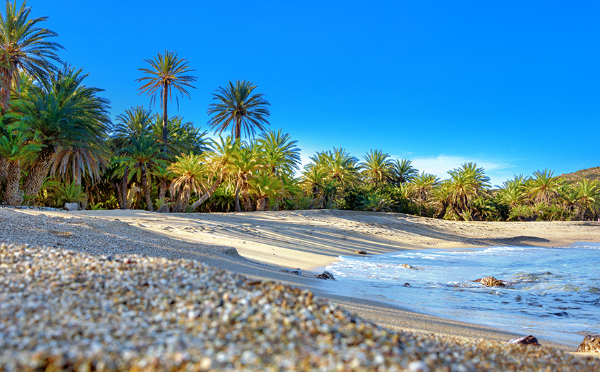 Φοινικόδασος Βάι, Κρήτη Φοινικόδασος Βάι, Κρήτη