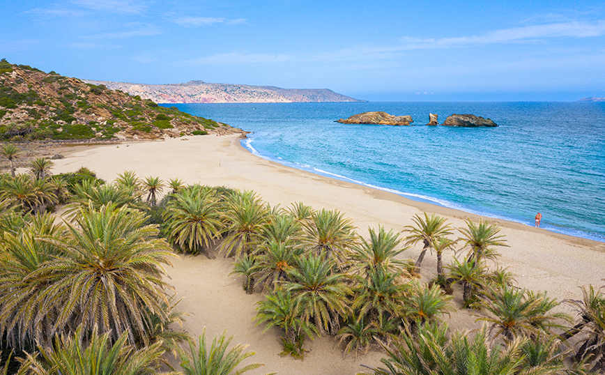 Φοινικόδασος Βάι, Κρήτη Φοινικόδασος Βάι, Κρήτη