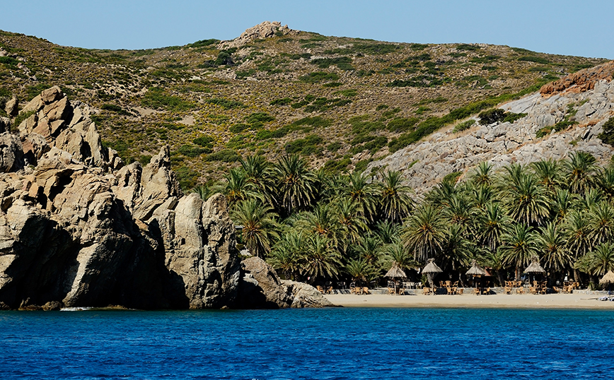 Φοινικόδασος Βάι, Κρήτη Φοινικόδασος Βάι, Κρήτη