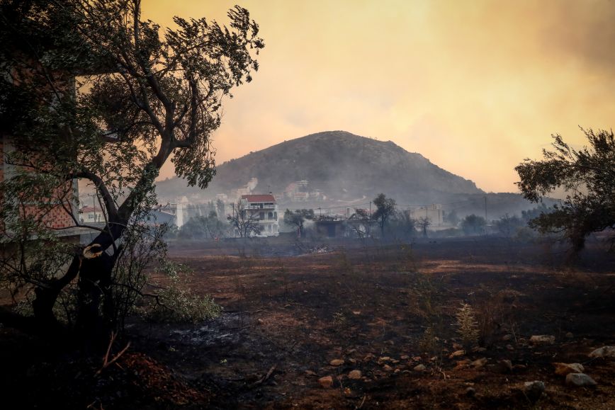 Θρίλερ με το κρανίο που εντοπίστηκε σε καμένη περιοχή στη Χασιά