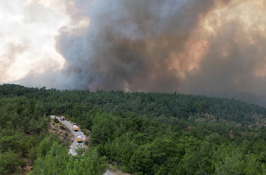 Φωτιά στον Έβρο: Μήνυμα από το 112 στην Λευκίμμη &#8211; Παραμείνετε σε ετοιμότητα