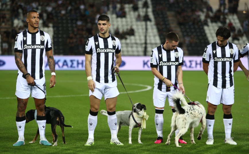 ΠΑΟΚ &#8211; Βόλος: Με σκυλιά μπήκαν στον αγωνιστικό χώρο οι δύο ομάδες