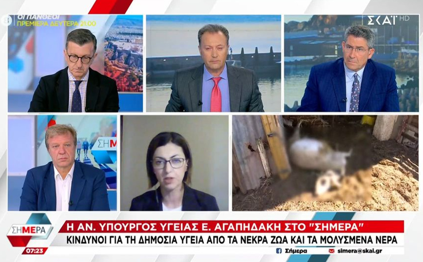 Αγαπηδάκη: 46 κρούσματα γαστρεντερίτιδας στη Θεσσαλία, τα έξι χρειάστηκαν νοσηλεία – Τα τρία οφείλονται στις πλημμύρες