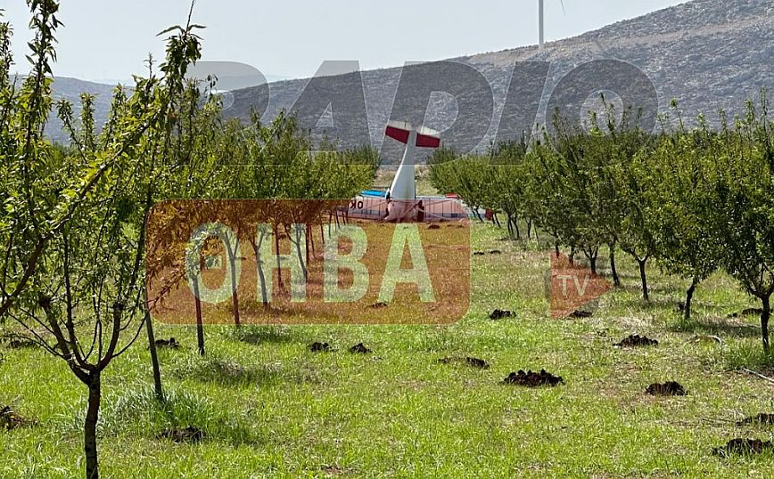 Έπεσε μικρό αεροπλάνο στη Θήβα – Νεκρός ο πιλότος του