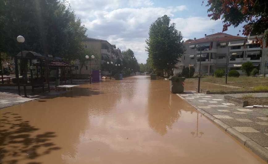 Φουσκώνει ο Πηνειός και απειλεί τη Γιάννουλη: Πλημμύρισαν οι εργατικές κατοικίες – Νερό βγαίνει και από τα φρεάτια