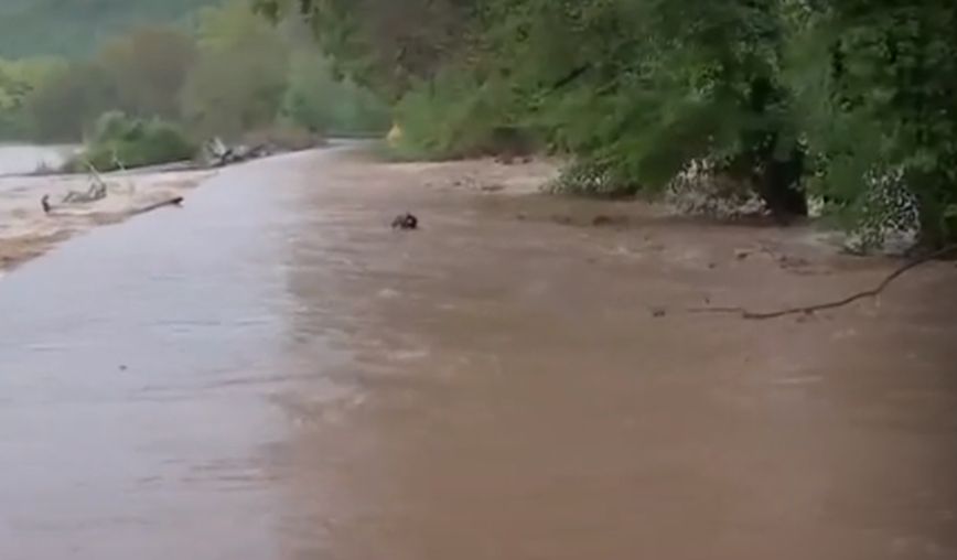 Δύσκολες ώρες στην Εύβοια με εγκλωβισμένους από την κακοκαιρία Elias: 112 σε 4 περιοχές για απαγόρευση κυκλοφορίας