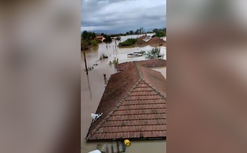 Βιβλική καταστροφή στην Καρδίτσα που έγινε ποτάμι: Βίντεο με την κραυγή απόγνωσης των κατοίκων