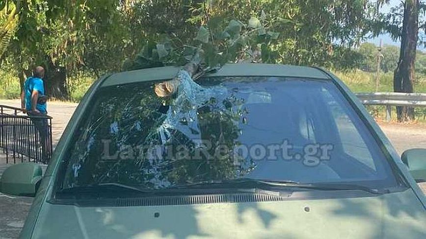 Λαμία: Κλαδί δέντρου «καρφώθηκε» σε παρμπρίζ διερχομένου αυτοκινήτου – Από καθαρή τύχη δεν υπήρξε τραυματισμός