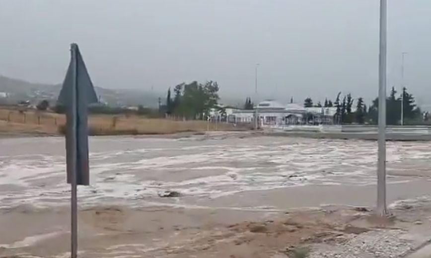 Λέκκας: Τα πρωτοφανή ύψη βροχοπτώσεων στην ανατολική Θεσσαλία συνιστούν ένα ακραίο φαινόμενο