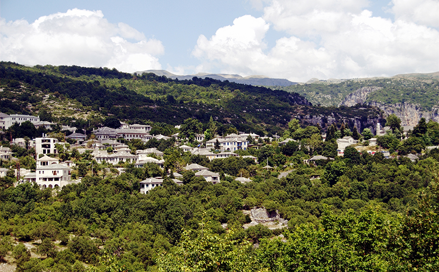 Μονοδένδρι Μονοδένδρι