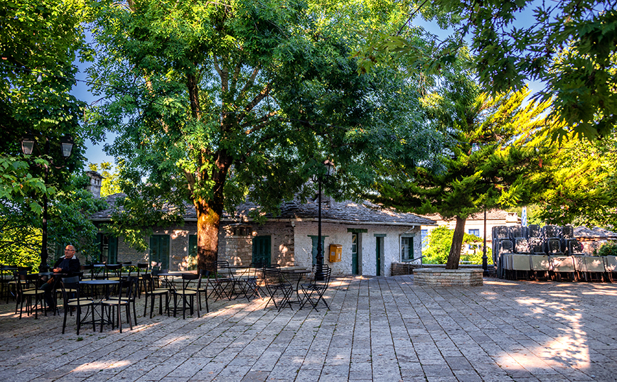 Μονοδένδρι Μονοδένδρι