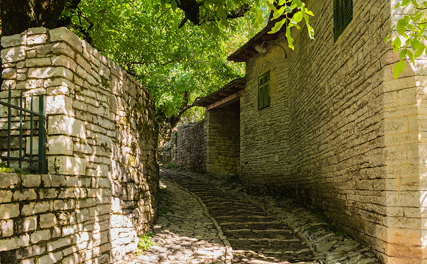 Μονοδένδρι Μονοδένδρι