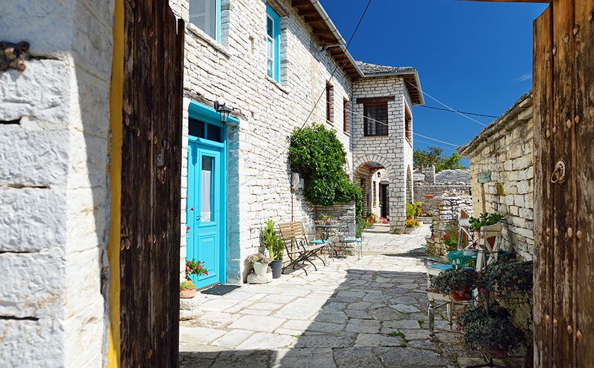 Μονοδένδρι Μονοδένδρι