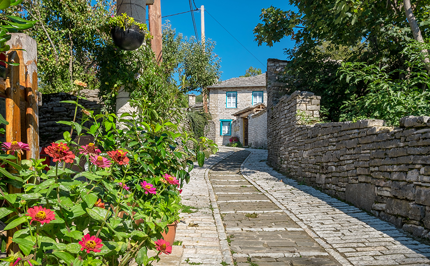 Μονοδένδρι Μονοδένδρι