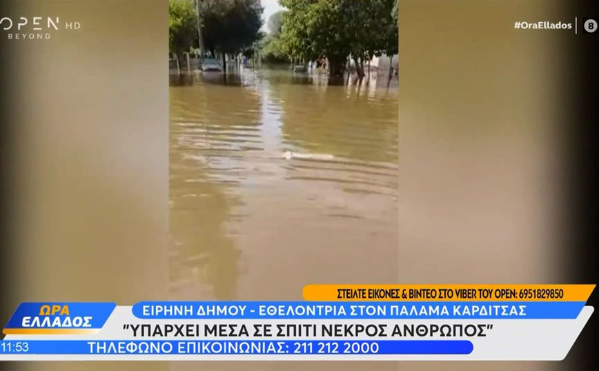 «Υπάρχει μέσα σε σπίτι νεκρός» – Η δραματική έκκληση εθελόντριας στην Καρδίτσα