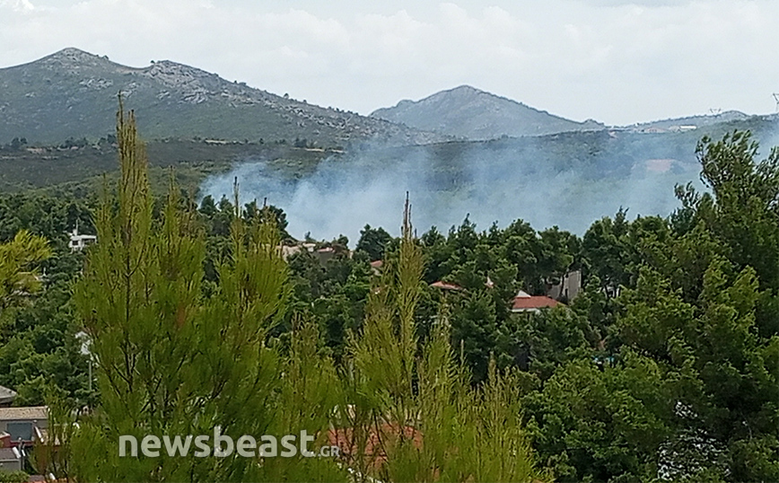 Φωτιά στη Σταμάτα Αττικής, μήνυμα του 112 προς τους κατοίκους &#8211; Πού έχει διακοπεί η κυκλοφορία