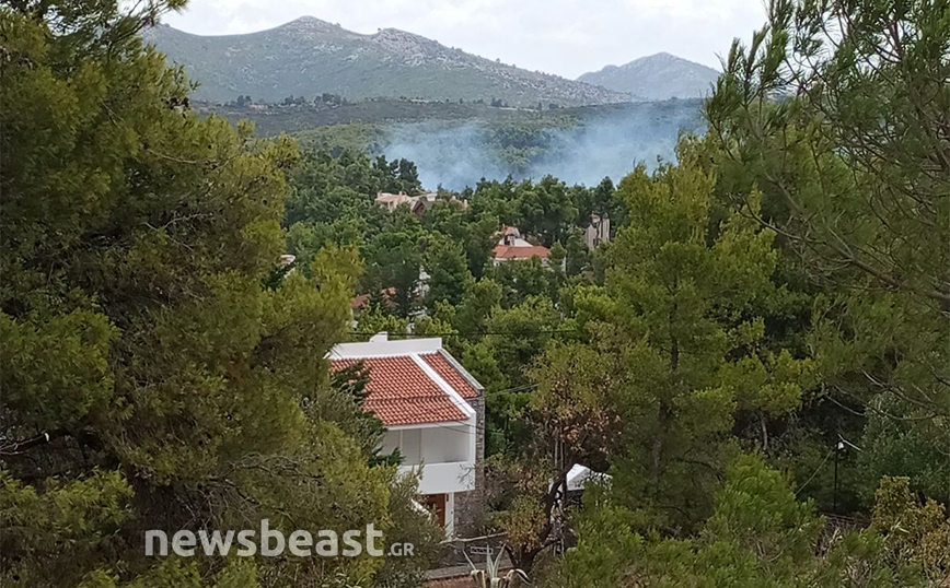 Υπό μερικό έλεγχο η φωτιά στη Σταμάτα – Προσαγωγή ενός ατόμου με την κατηγορία του εμπρησμού