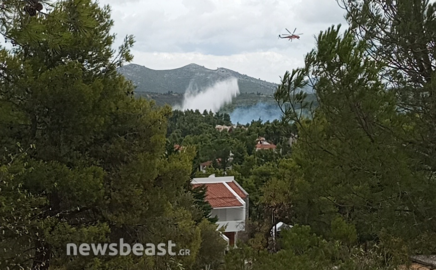 Μια προσαγωγή για εμπρησμό στη Σταμάτα – Καλύτερη η εικόνα της φωτιάς