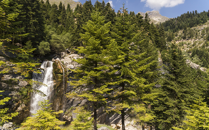 Θεοδώριανα Θεοδώριανα