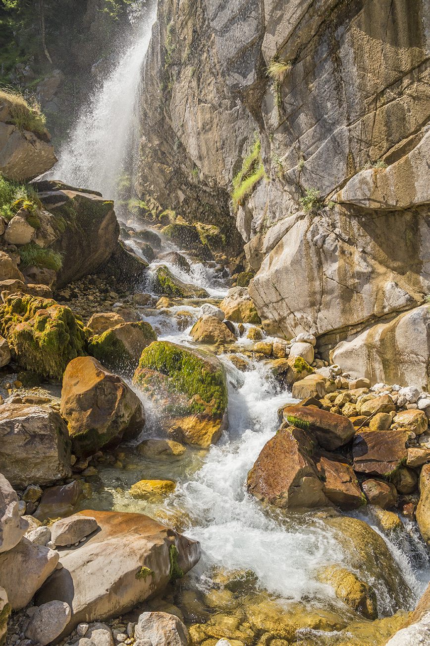 Θεοδώριανα Θεοδώριανα
