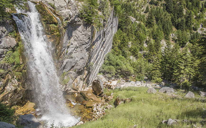 Θεοδώριανα Θεοδώριανα