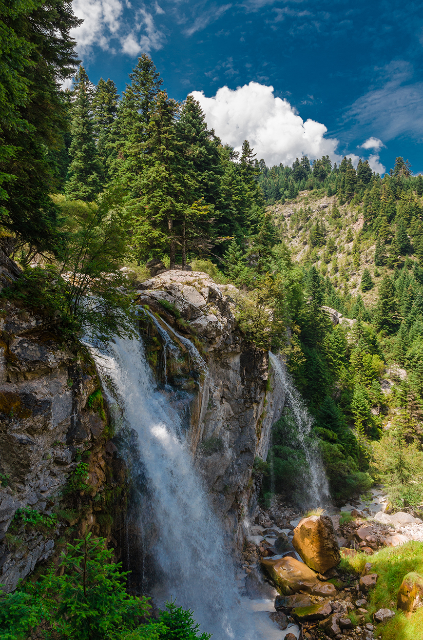 Θεοδώριανα Θεοδώριανα