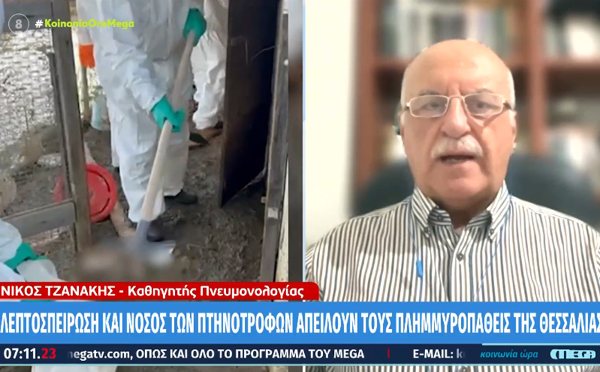 SOS για τους πλημμυροπαθείς της Θεσσαλίας – «Κινδυνεύουν από λεπτοσπείρωση και νόσο των πτηνοτρόφων»