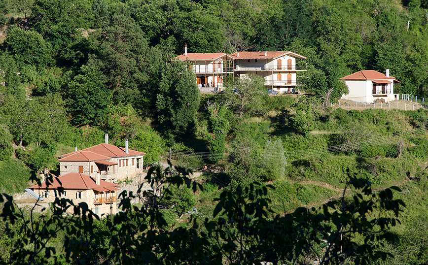 Ζαρούχλα Ζαρούχλα