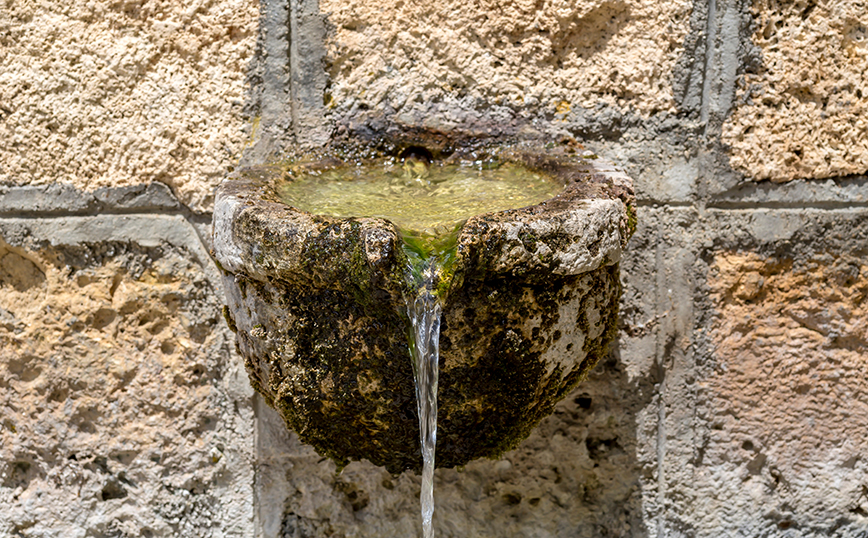 Ζαρούχλα Ζαρούχλα