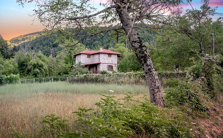 Ζαρούχλα Ζαρούχλα