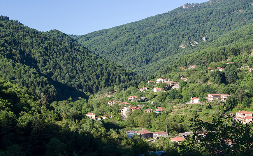 Ζαρούχλα Ζαρούχλα