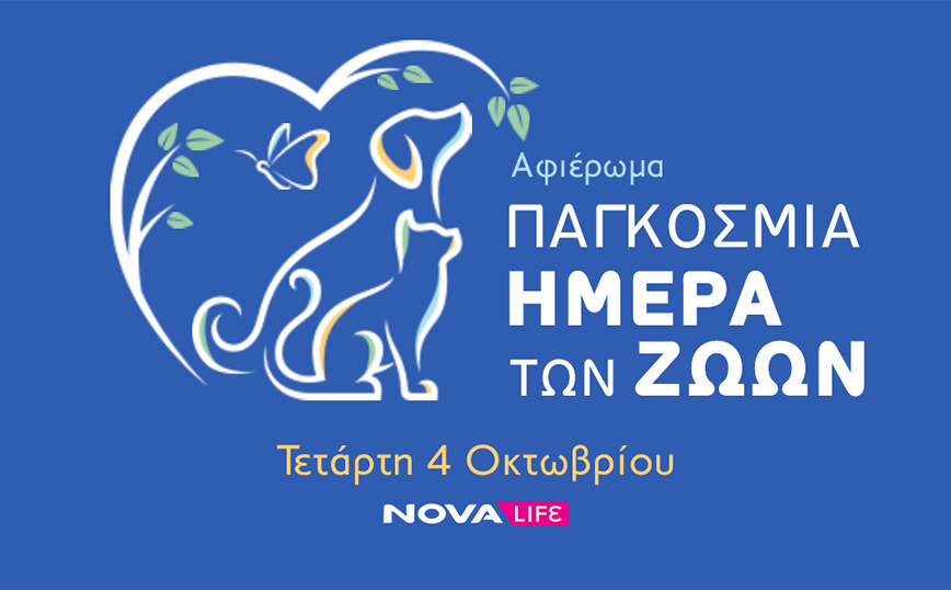 Ολοήμερο αφιέρωμα για τη «World Animal Day» στο Novalifε!