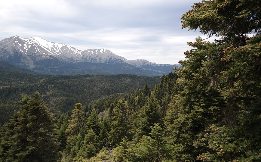 Πίνδος Πίνδος