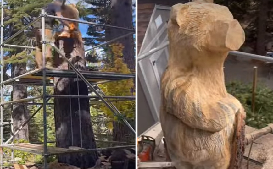Το εντυπωσιακό time lapse&#8230; σκαλίσματος μιας αρκούδας!