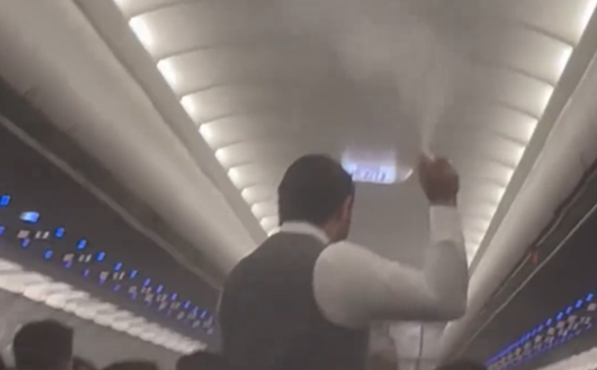 Σμήνος κουνουπιών εισέβαλε σε αεροπλάνο στο Μεξικό, καθυστερώντας την πτήση για ώρες &#8211; Δεν είναι το πρώτο περιστατικό