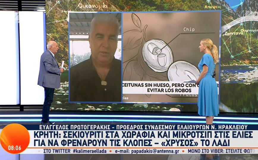 «Χρυσός» το ελαιόλαδο: Μικροτσίπ στις ελιές και περιπολίες της Αστυνομίας στους ελαιώνες