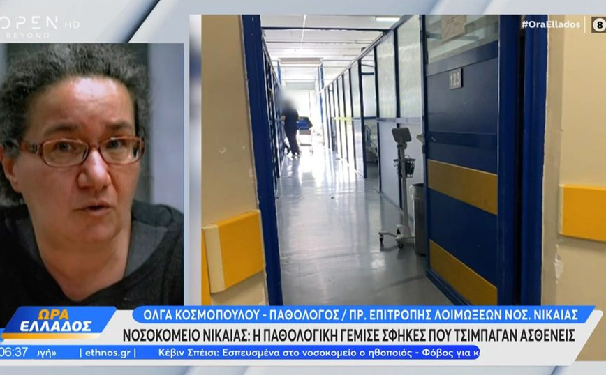 Τραγική η κατάσταση στο νοσοκομείο Νίκαιας – «Βρέθηκε μία φωλιά από σφήκες μέσα σε έναν θάλαμο» λέει παθολόγος