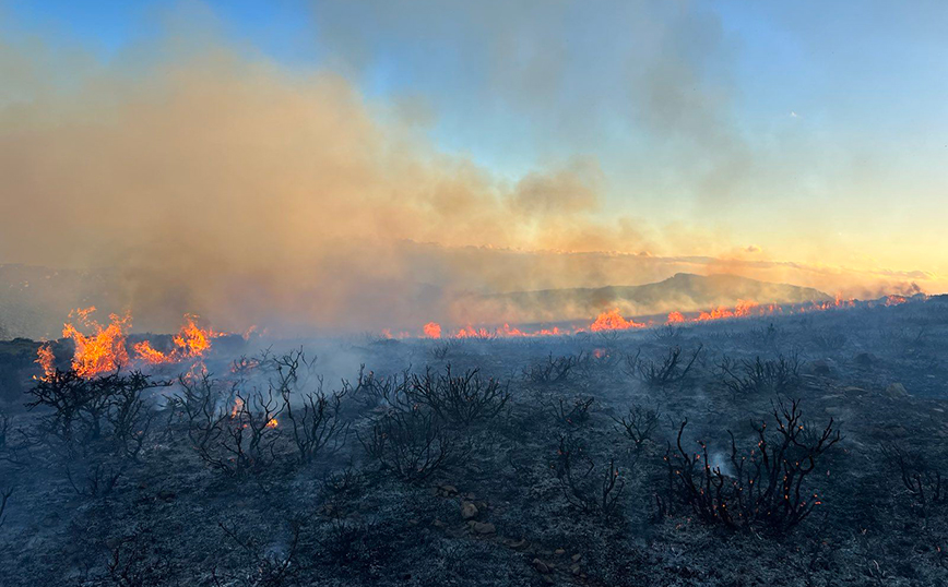 Φωτιά σε Ηράκλειο και Χανιά Φωτιά σε Ηράκλειο και Χανιά