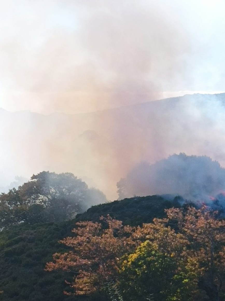 Φωτιά σε Ηράκλειο και Χανιά Φωτιά σε Ηράκλειο και Χανιά