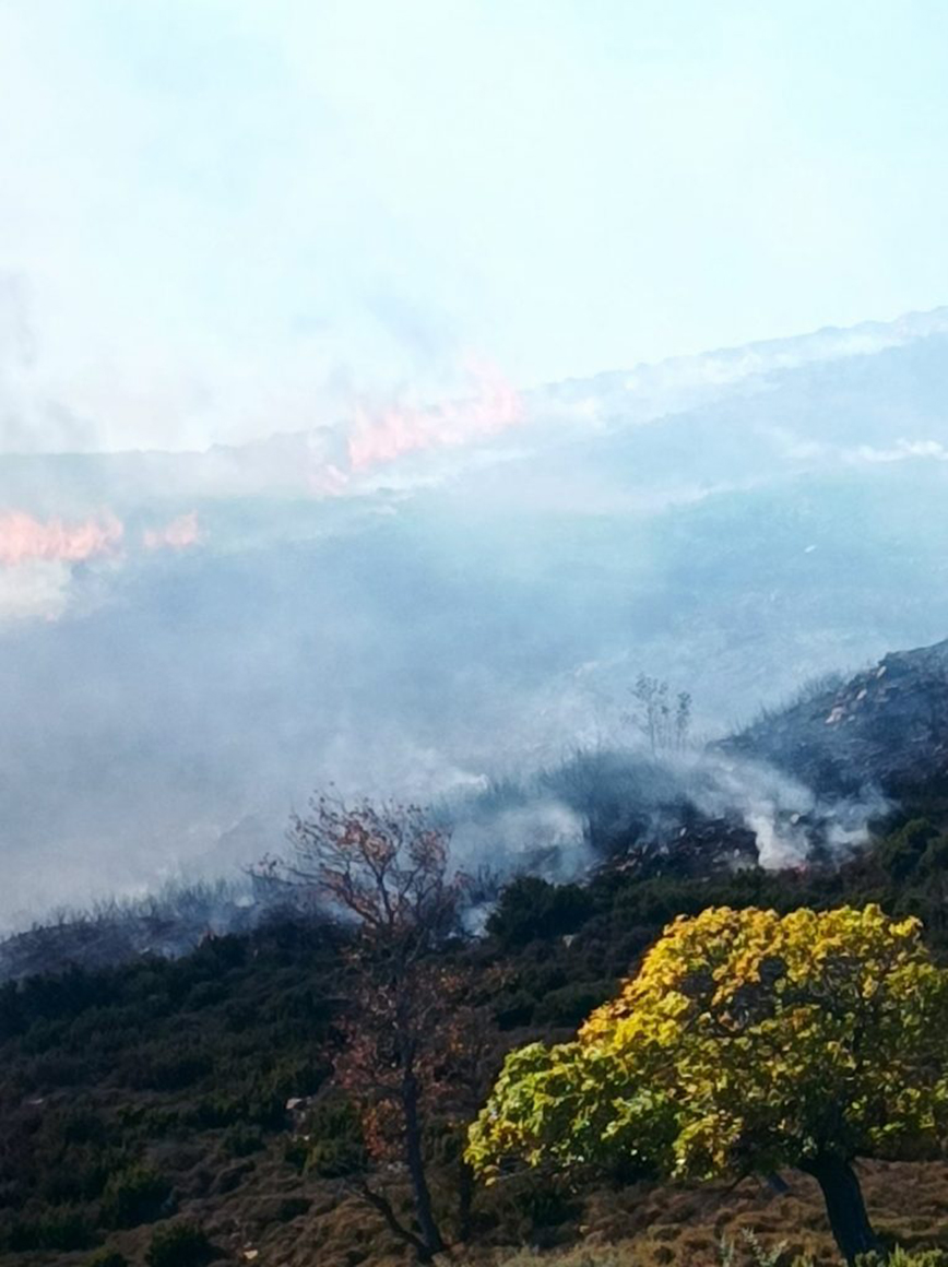 Φωτιά σε Ηράκλειο και Χανιά Φωτιά σε Ηράκλειο και Χανιά