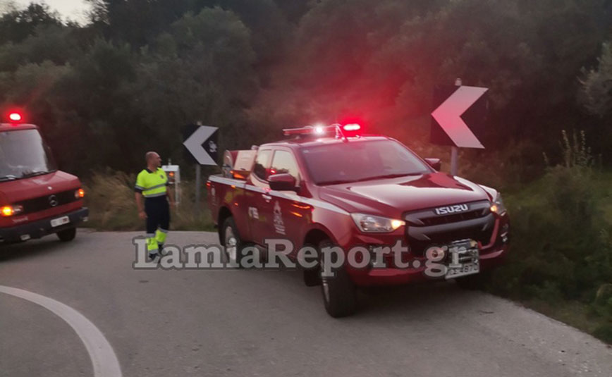 Φθιώτιδα: Πήγε να κόψει ξύλα και χάθηκαν τα ίχνη του μετά από ατύχημα