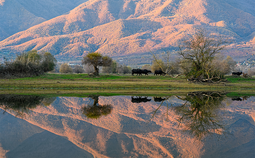 Λίμνη Κερκίνη Λίμνη Κερκίνη
