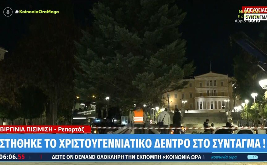 Μύρισαν Χριστούγεννα στο Σύνταγμα &#8211; Στήθηκε το χριστουγεννιάτικο δέντρο που θα στολιστεί με 24.000 λαμπιόνια