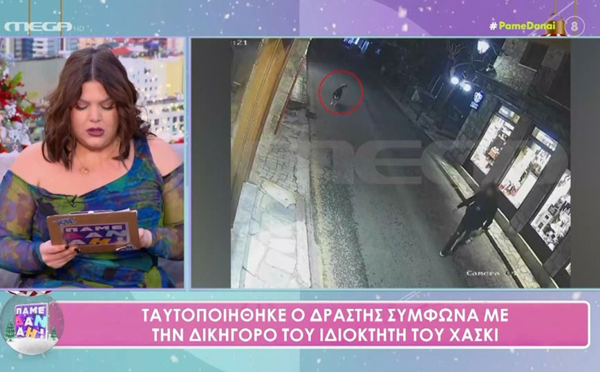 Νέα στοιχεία για τον θάνατο του Όλιβερ από την Αράχωβα: «Ο κακοποιητής δεν ανήκει στο οικείο του περιβάλλον»