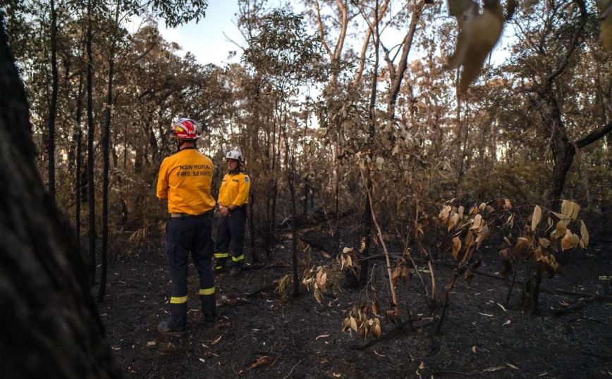 Ακραίος κίνδυνος για δασικές πυρκαγιές στην Αυστραλία λόγω καύσωνα